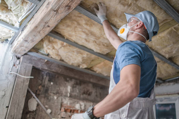 Best Insulation Installation Services in Jourdanton, TX