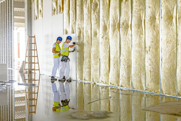 Best Insulation Maintenance and Repair in Jourdanton, TX